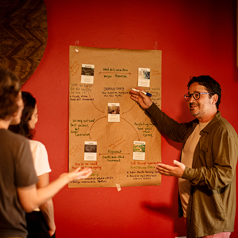 REGENERA | A mudança se sustenta quando o sistema acompanha. Meu trabalho combina visão sistêmica, experiência prática e diferentes formas de acompanhamento para apoiar pessoas, equipes e organizações em seus momentos de transformação.